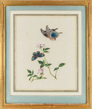 
	
		A set of three Chinese paintings on pith paper, 19th century, depicting various birds and...
