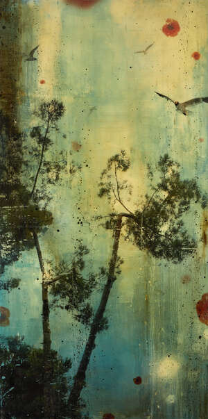 
	
		Steven Nederveen, 
		 
		Canadian b.1971- 
		 
		 
		Under the Scenery, 2009;...