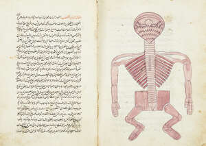 
	
		A Qajar medical treatise dated 1231AH/1816AD, Iran, 140ff. Persian manuscript on paper,...