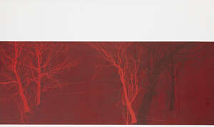 
	
		Andrew Mackenzie, 
		Scottish b.1969- 
		 
		Hide 2 (Red), 2008; 
		 
		oil on board,...