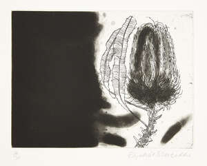 
	
		Dame Elizabeth Blackadder DBE RA RSA, 
		Scottish b.1931- 
		 
		Banksia, 1989; 
		 
		