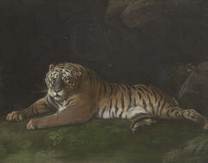 
	
		John Dixon, 
		British 1720-1811- 
		 
		A Tigress, after George Stubbs ARA; 
		 
		