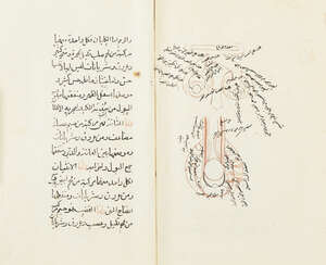 
	
		An Ottoman medical treatise, Turkey, 19th century, 72ff. Ottoman Turkish manuscript on...