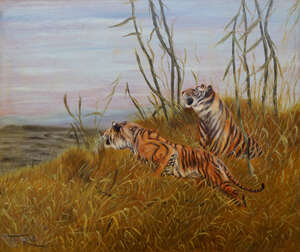 
	
		Manner of Friedrich Wilhelm Carl Kuhnert, 
		German 1865-1926- 
		 
		Two tigers in...