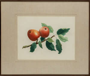 
	
		A Chinese painting and three watercolour studies, 19th century, painted with ink and...