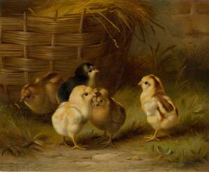 
	
		Edgar Hunt, 
		British 1876-1953- 
		Five chicks by a basket; 
		oil on canvas, signed...