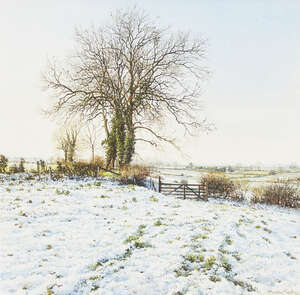 
	
		Martin Taylor,
		British b.1954-
		 
		Snow near Walgrave;
		 
		watercolour, signed,...