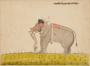 
	
		The elephant Garhe Rao with his rider Nura, Kishangargh, Rajasthan, North West India,...