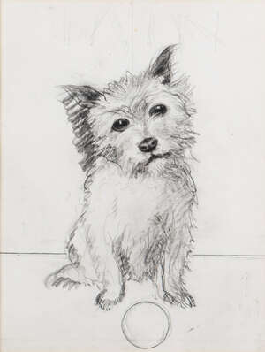
	
		Katharine Cameron RWS RE, 
		Scottish 1874-1965 - 
		 
		Study of a terrier with a...