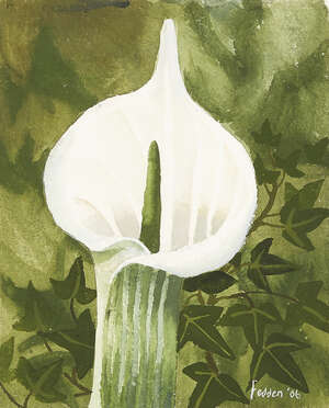 
	
		Mary Fedden OBE RA PPRWA, 
		British 1915-2012-
		
		Single Flower Stem, 2006;
		
		