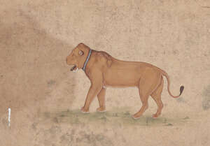
	
		A lion in the Mughal style, India, 20th century, gouache on paper, depicted facing left,...