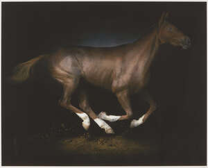 
	
		Irene Kung, 
		Swiss b.1958- 
		 
		Cavallo 2;
		 
		c-type, signed and numbered 3/7...