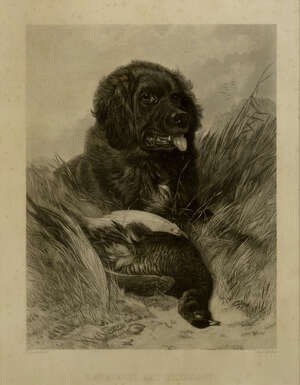 
	
		Richard Ansdell RA, 1815-1885, four engravings of gun dogs with prey, mid-19th century,...