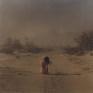 Bunni Nishimura,&nbsp;Japanese/American 21st Century-&nbsp;Sandstorm, 2013;&nbsp;digital print in colours on...