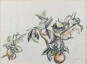 
	
		Renato Guttuso, 
		Italian 1911-1987 - 
		 
		A Study of Oranges, 1951; 
		 
		pencil...