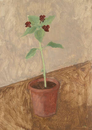 
	
		Patrick George, 
		British b.1923- 
		 
		Plant in a pot, c.1970s; 
		 
		oil on...