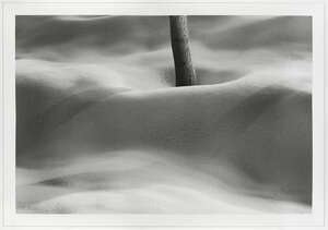 
	
		Abbas Kiarostami (Iranian, 1940-2016), Untitled, print, 2012, from the Snow-White series,...