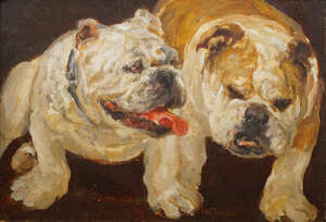 Neil Forster, 
		British 1939-2016- 
		 
		Two bulldogs; 
		 
		oil on board, signed, 24x34cm (ARR) 
		 
		Note: Forster was a figurative artist who 