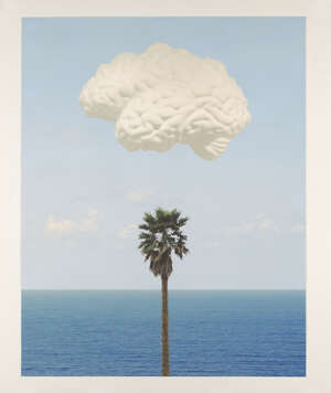 John Baldessari, 
American 1931-2020- 
 
 
Brain/Cloud (With Seascape and Palm Tree), 2009; 
 
