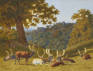 
	
		Robert Hills OWS, 
		English 1769-1844- 
		Stags and hinds in a parkland landscape; 
		