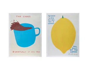 David Shrigley, British, b.1968
The chaos, and When life gives you a lemon....