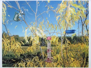 Neeta Madahar,&nbsp;British/Indian b.1966-&nbsp;Sustenance 51;&nbsp;iris print on somerset velvet paper,&nbsp;from an...