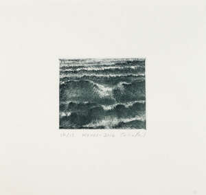 
	
		Celia Paul,
		British b.1959- 
		 
		Waves, 2014; 
		 
		soft-ground etching on 300gsm...