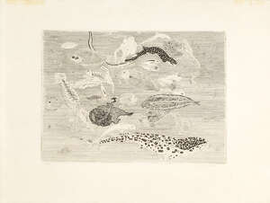 
	
		Anthony Gross CBE RA, 
		British 1905-1984- 
		 
		Fish, 1951; 
		 
		etching on wove,...