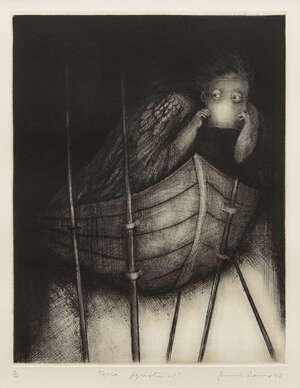 
	
		Ana Maria Pacheco, 
		Brazilian b.1943-
		 
		Terra Ignota 1, 1993; 
		 
		etching with...
