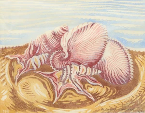 Margaret Barnard,&nbsp;British 1898-1992,&nbsp;Shells, 1930;&nbsp;linocut in colours on buff oriental laid tissue,&nbsp;