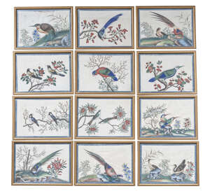 
	
		A set of twelve Chinese paintings on rice paper, late 19th century, each depicting birds...