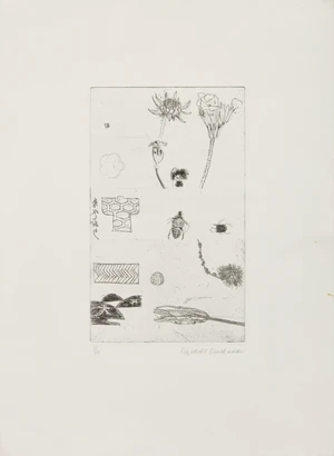 Dame Elizabeth Blackadder DBE RA RSA RSW,&nbsp;Scottish 1931-2021,&nbsp;Beetles and Flower Heads, 1986;&nbsp;