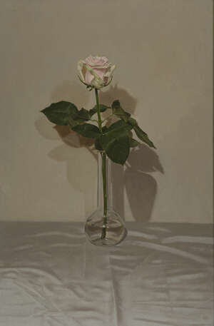 
	
		Sian Hopkinson, 
		British b.1967 - 
		 
		Still life of a rose in a vase, 2005; 
		 
		