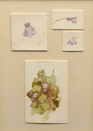 Helen Allingham RWS, 
		British 1848-1926- 
		 
		Studies of flowering weeds, possibly Creeping Charlie; 
		 
		four watercolours on a shared mount, 5.5