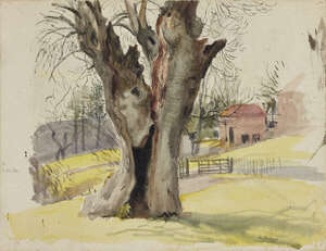 
	
		Leon Underwood, 
		British 1890-1975-
		 
		The Old Tree, 1922;
		 
		watercolour on...