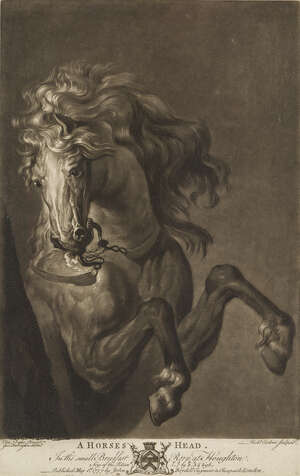 
	
		Richard Earlom, 
		British 1742-1822- 
		 
		A Horse's Head, after Sir Anthony van...