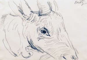 
	
		John Randall Bratby RA, 
		British 1928-1992- 
		 
		Goat's head; 
		 
		soft pencil on...