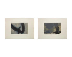 Hughie O'Donoghue RA,&nbsp;Irish/British b.1953-&nbsp;Crow, 1991; The Round Lake, 1991;&nbsp;two etchings with aquatint...