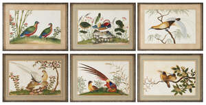 
	
		A set of six Chinese 'birds and flowers' pith paper paintings, 19th century, depicting...