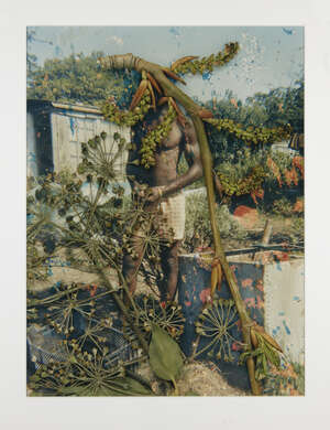 
	
		Stephen Gill, 
		British b.1971- 
		 
		SGI 06 03 123 12, 2004-2007; 
		c-type on...
