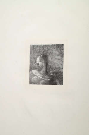 
	
		Odilon Redon, 
		French 1840-1916- 
		 
		Helen (Ennoia) (Hélène [Ennoia]) (plate IX)...
