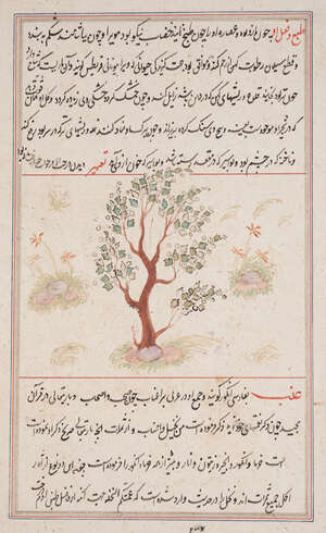 
	
		A large illustrated folio from a Persian encyclopaedia, Qajar Iran, 19th century,...