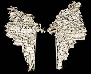 
	
		Ann Carrington,
		British 20th/21st century-
		 
		Angel Wings, 1987;
		 
		painted...