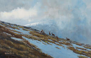 
	
		Alastair Proud SWLA, 
		Irish b.1954- 
		 
		Stags on a highland hillside; 
		 
		oil...