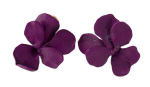 
	
		A pair of aluminium ear clips, by JAR, each modelled as a Violet, signed JAR, maker's...