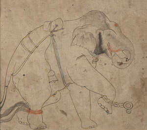 
	
		A drawing of a captive elephant, Kotah school, India, circa 1840, pen and gouache on...