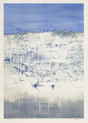
	
		Arthur Boyd AC OBE,
		Australian 1920-1999-
		 
		Shoalhaven; 
		 
		lithograph in...