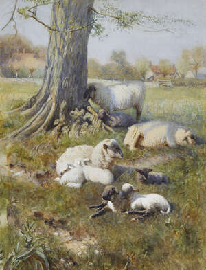 
	
		British School, 
		 
		late 19th/early 20th century- 
		 
		Sheep and lambs resting...