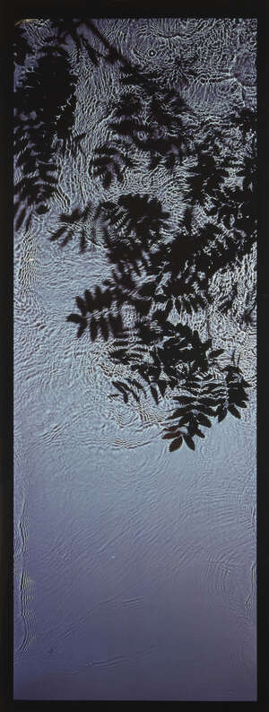 
	
		Susan Derges, 
		British b.1955- 
		 
		River Taw 22 July 1997 (Rowan); 
		 
		