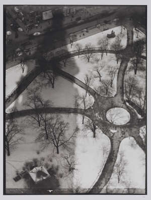
	
		Alvin Langdon Coburn,
		American 18821966-
		 
		The Octopus 1912;
		 
		